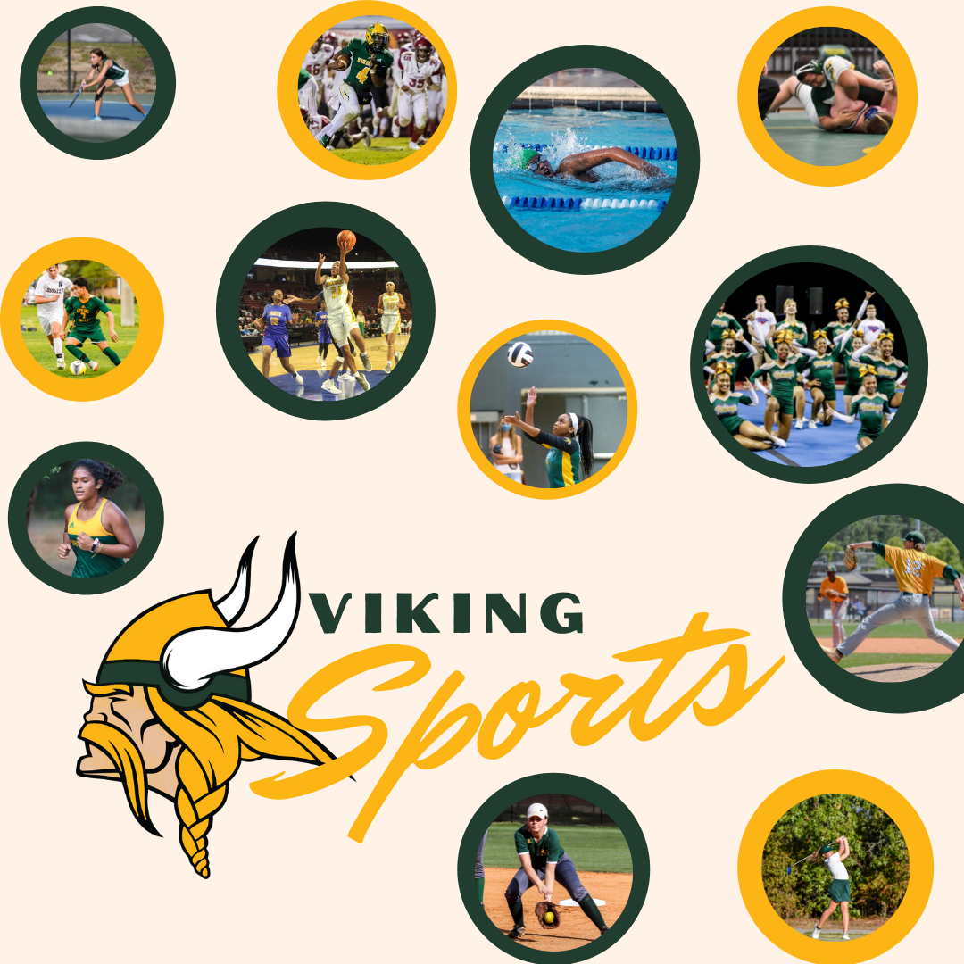 January 19th Viking Update