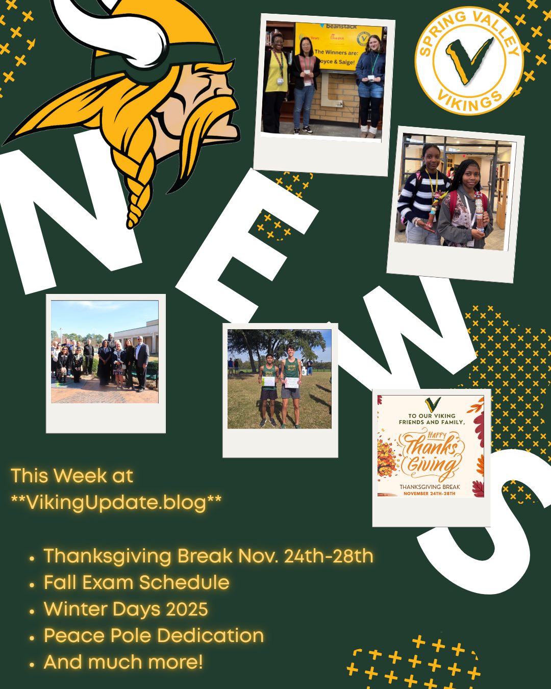 Viking Update November 20th