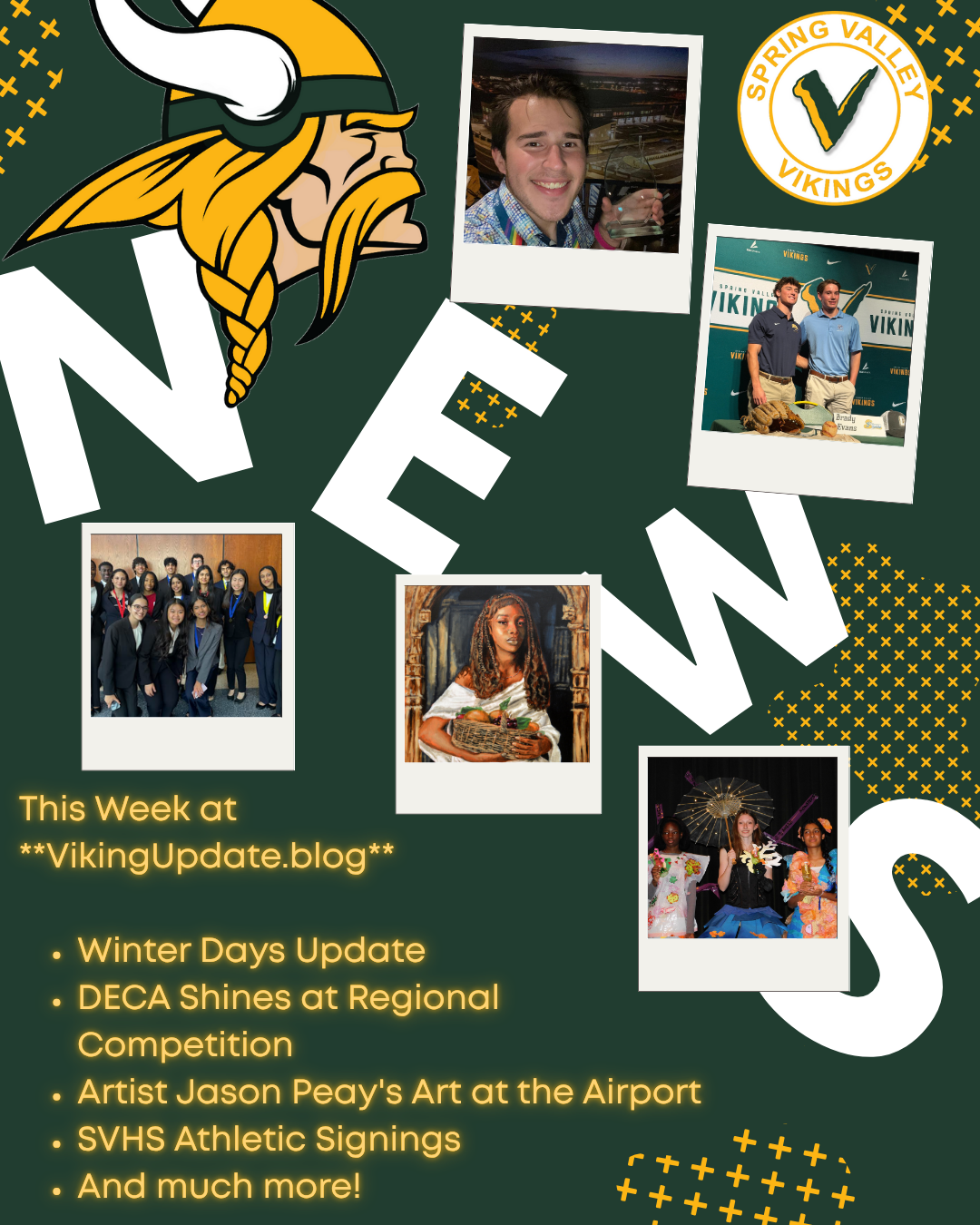 Viking Update November 14th